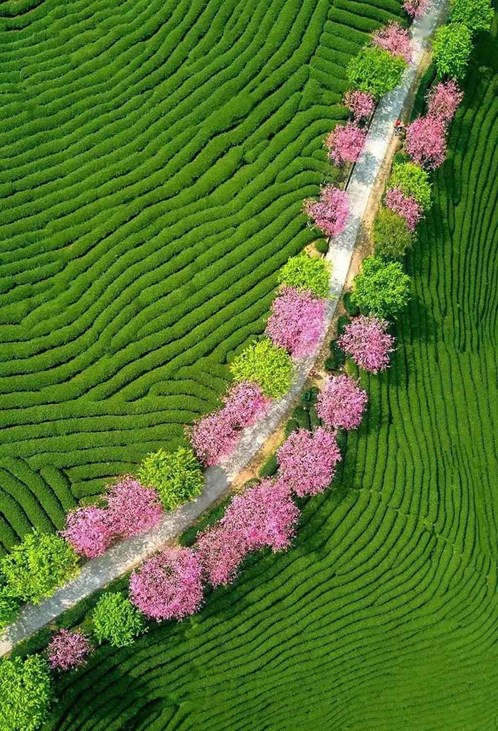 旅游小镇怎么设计规划