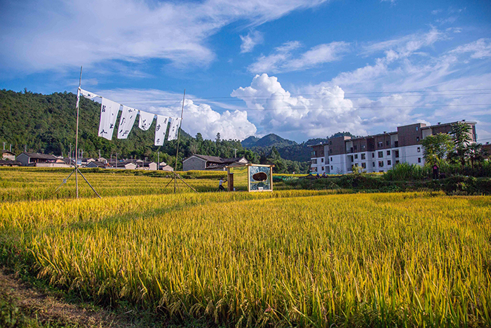 文化旅游小镇规划设计方案